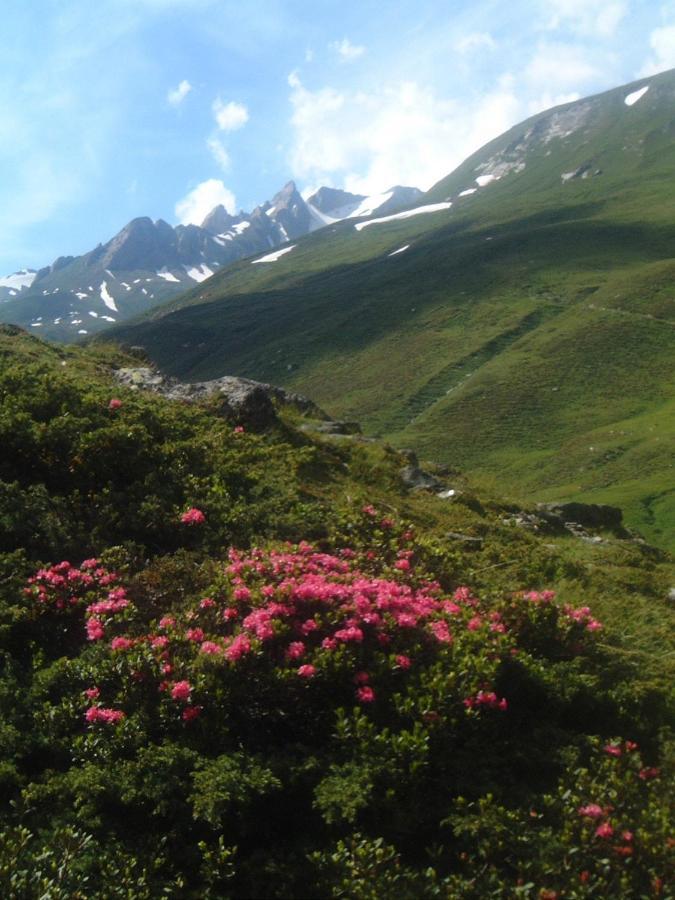 Das Unterrain Lifestyle Hotel ザンクト・ヤーコプ・イン・デフェルエッゲン エクステリア 写真